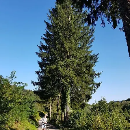 Σπίτι διακοπών Klementina Vrbovsko