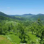 Tatil Evi Klementina *