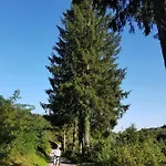 Vakantiehuis Klementina Vrbovsko