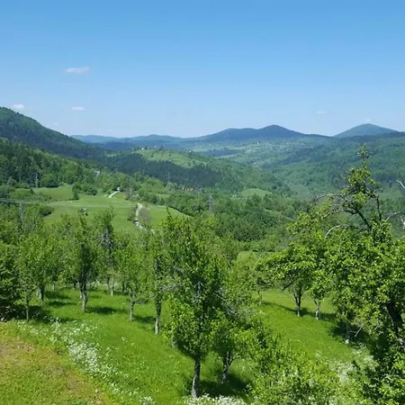 Holiday home Klementina *