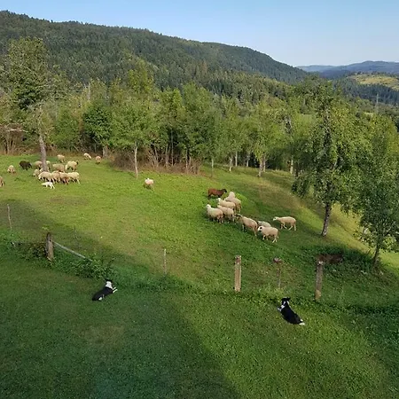 Klementina Holiday home