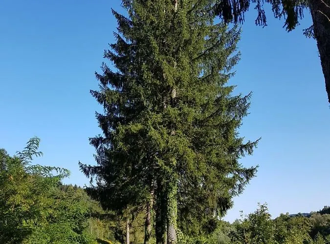Prázdninový dům Klementina Vrbovsko